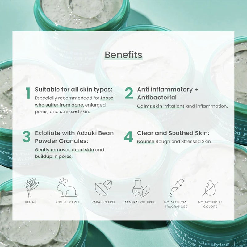 Axis-Y Mugwort Pore Clarifying Relax & Care Wash Off Face Pack 100ml Axis-Y