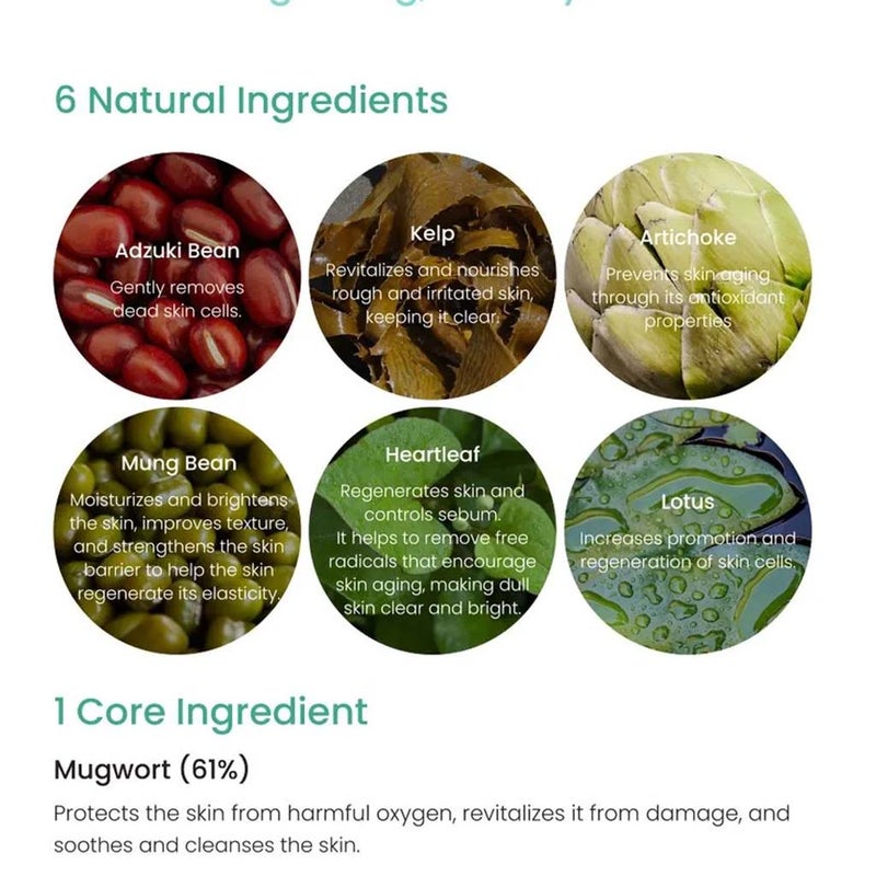 Axis-Y Mugwort Pore Clarifying Relax & Care Wash Off Face Pack 100ml Axis-Y