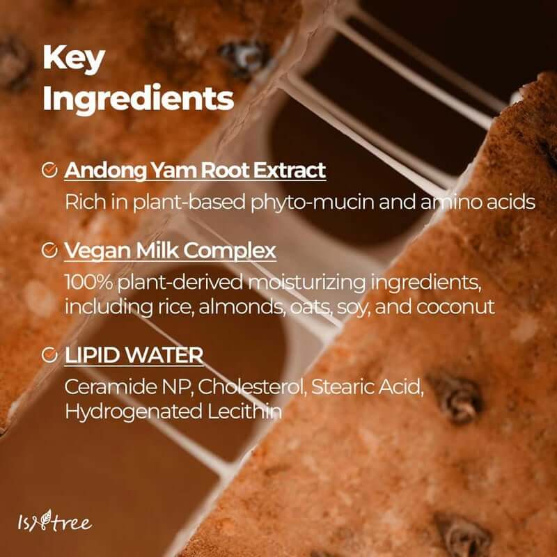 Key ingredients in Isntree Yam Root Vegan Milk Toner: Andong Yam Root Extract, Vegan Milk Complex, and Lipid Water.