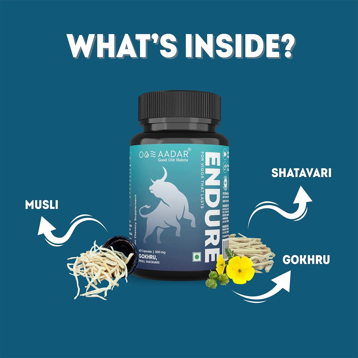 AADAR Endure Capsules Improves Energy Immunity Specially Formulated Contains 10+ Ayurvedic Herbs Including Shilajit Gokhru And Musli 60 Capsules AADAR