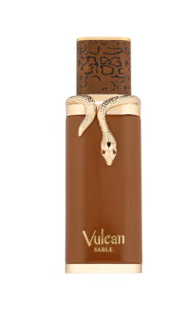Vulcan Sable - Eau de Parfum - Perfume For Men, 100ml