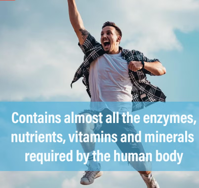 Marnys Royal Jelly 1000 mg Capsules 90's