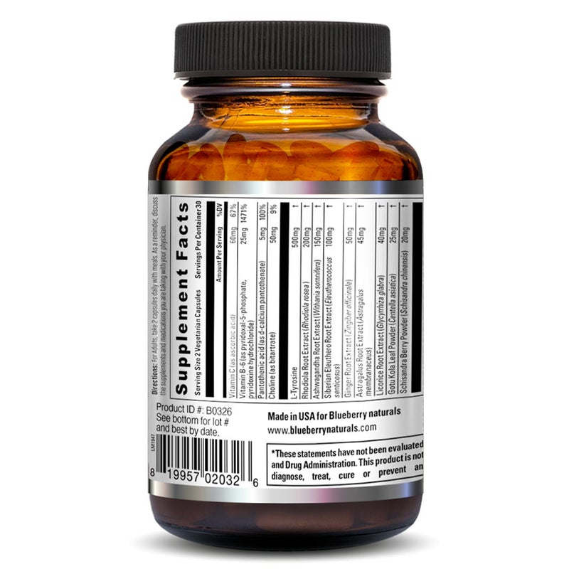 Blueberry Naturals Re-Sync Vegetarian Capsules 60's B0326 Blueberry Naturals