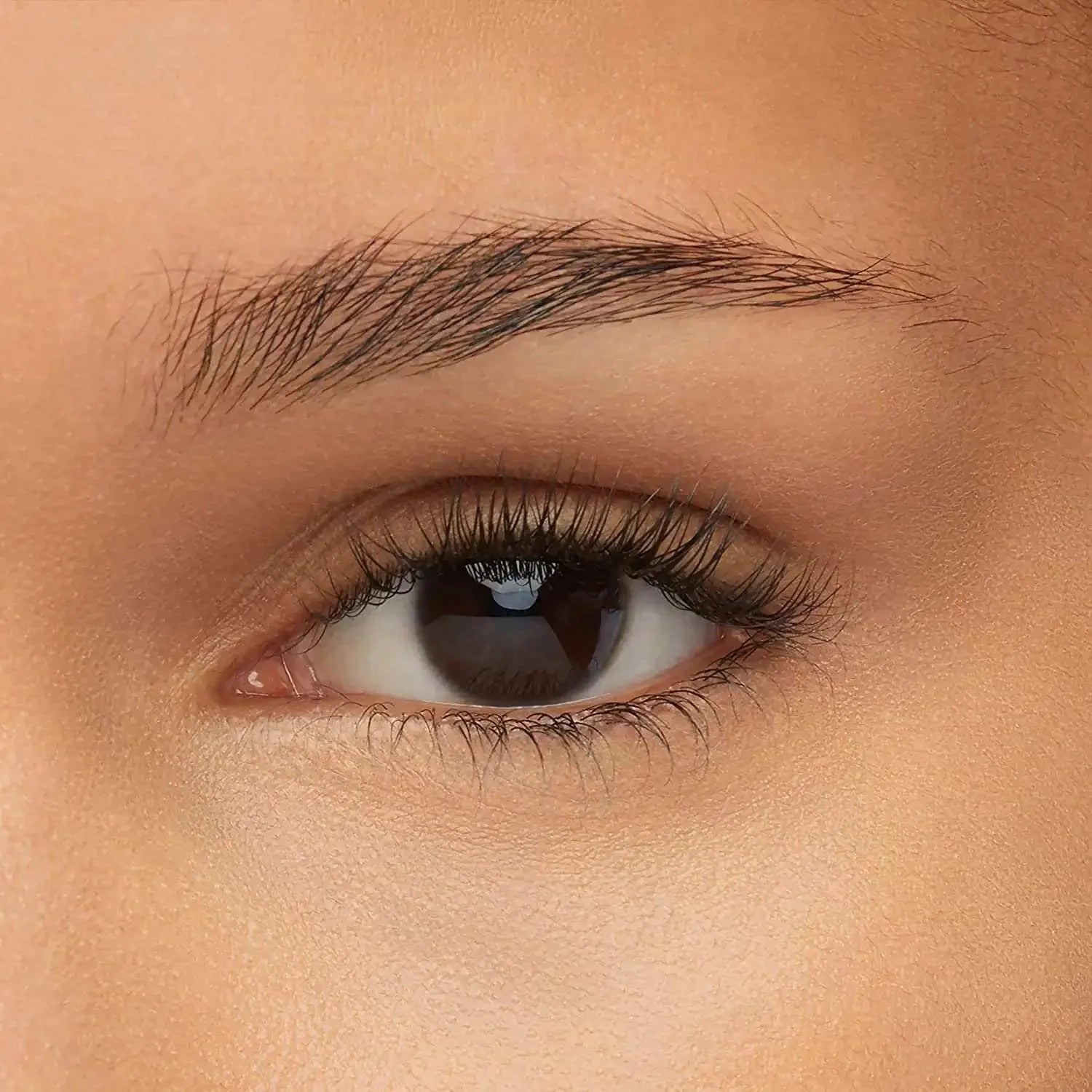 Maybelline Express Brow Satin Duo 04 Dark Brown Maybelline