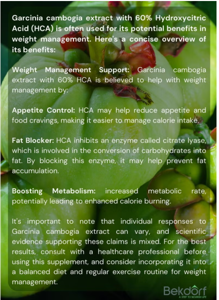 Garcinia Healthy Metabolism 120 Capsules bekdorf